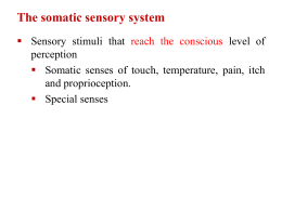 The somatic sensory system  Sensory stimuli that reach the conscious level of perception  Somatic senses of touch, temperature, pain, itch and proprioception. 