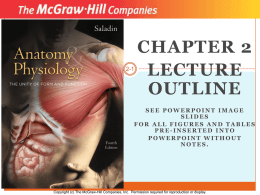 2-1  CHAPTER 2 LECTURE OUTLINE  SEE POWERPOINT IMAGE SLIDES FOR ALL FIGURES AND TABLES PRE-INSERTED INTO POWERPOINT WITHOUT NOTES.  Copyright (c) The McGraw-Hill Companies, Inc.