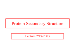 Protein Secondary Structure Lecture 2/19/2003 Three Dimensional Protein Structures Confirmation: Spatial arrangement of atoms that depend on bonds and bond rotations. Proteins can change.