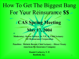 How To Get The Biggest Bang For Your Reinsurance $$ CAS Spring Meeting May 17, 2004 Moderator: Karen Pachyn, Sr.