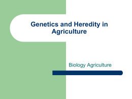 Genetics and Heredity in Agriculture  Biology Agriculture Genetics in History   Gregory Mendel – – – – Priest from a monastery in central Europe. High School teacher Became curious about traits.
