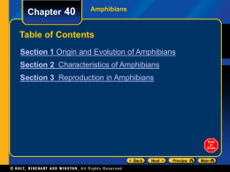 Chapter 40  Amphibians  Table of Contents Section 1 Origin and Evolution of Amphibians Section 2 Characteristics of Amphibians Section 3 Reproduction in Amphibians.