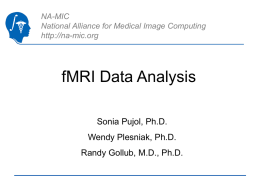 NA-MIC National Alliance for Medical Image Computing http://na-mic.org  fMRI Data Analysis Sonia Pujol, Ph.D. Wendy Plesniak, Ph.D. Randy Gollub, M.D., Ph.D.