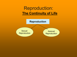 Reproduction: The Continuity of Life Reproduction  Sexual Reproduction  Asexual Reproduction Asexual Reproduction: Genetically Identical Offspring  • Budding • Regeneration • Parthenogenesis … Cloning???