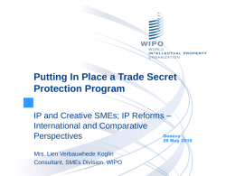 Putting In Place a Trade Secret Protection Program IP and Creative SMEs; IP Reforms – International and Comparative Geneva Perspectives 26 May 2010 Mrs.