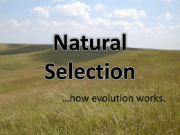 Natural Selection …how evolution works. Natural selection is… –Natural selection says that the organisms best suited to the environment will live to reproduce while other organisms.