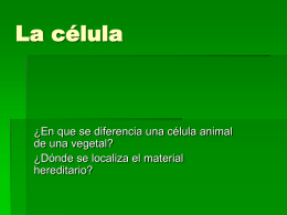 La célula  ¿En que se diferencia una célula animal de una vegetal? ¿Dónde se localiza el material hereditario?