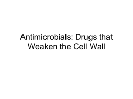 Antimicrobials: Drugs that Weaken the Cell Wall Cell Wall Weakeners • Beta Lactams – Penicillins – Cephalosporins – Carbapenems – Aztreonam  • Vancomycin • Teicoplanin.