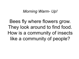 Morning Warm- Up!  Bees fly where flowers grow. They look around to find food. How is a community of insects like a community of.