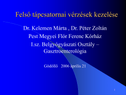 Felső tápcsatornai vérzések kezelése Dr. Kelemen Márta , Dr. Péter Zoltán Pest Megyei Flór Ferenc Kórház I.sz.