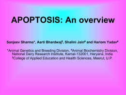 APOPTOSIS: An overview Sanjeev Sharma*, Aarti Bhardwaj$, Shalini Jain# and Hariom Yadav#  *Animal Genetics and Breeding Division, #Animal Biochemistry Division, National Dairy Research.