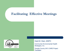 Facilitating Effective Meetings  Heidi M. Klein, MSPH Community Environmental Health Strategies, Inc. Oneida County (NY) CARE Project Facilitator.