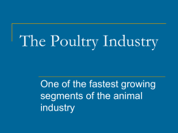 The Poultry Industry One of the fastest growing segments of the animal industry.