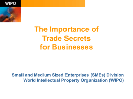 The Importance of Trade Secrets for Businesses  Small and Medium Sized Enterprises (SMEs) Division World Intellectual Property Organization (WIPO)