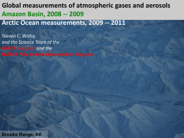 Global measurements of atmospheric gases and aerosols Amazon Basin, 2008 -- 2009 Arctic Ocean measurements, 2009 -- 2011 Steven C.