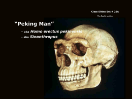 Class Slides Set # 26A Tim Roufs’ section  “Peking Man” – aka – aka  Homo erectus pekinensis Sinanthropus.