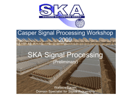 Casper Signal Processing Workshop SKA Signal Processing (Preliminary)  Wallace Turner Domain Specialist for Signal Processing.