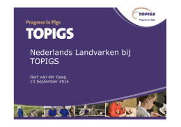 Nederlands Landvarken bij TOPIGS