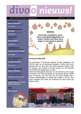 DIVOO KERST 2014 nr. 12.pages