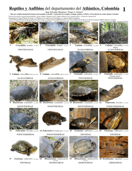 Reptiles y Anfibios del departamento del Atlántico, Colombia