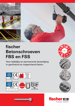 FBS 6 - Fischer