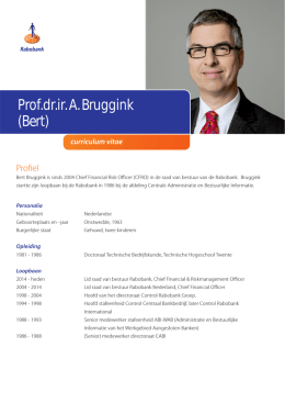 CV Bert Bruggink