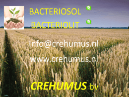 Presentatie Bacteriosol en Bacteriolit