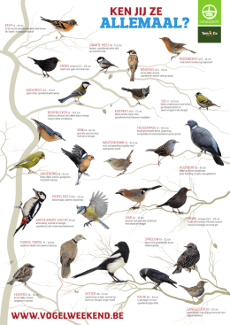 de vogelposter - Het Grote Vogelweekend van Natuurpunt