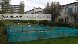 Collaborative Urban Farming