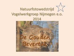 Natuurfotowedstrijd Vogelwerkgroep Nijmegen e.o. 2014