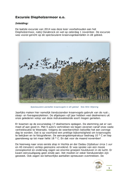 Kraanvogel excursie Diepholzermoor e.o. 1-11-2014