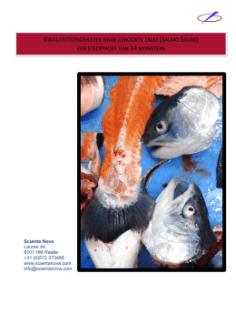 1. Definitief eindrapport