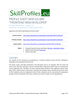 Profile sheet WSP-G3-009. Frontend Web Developer