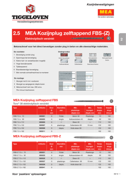 2.5 MEA Kozijnplug zelftappend FBS-(Z)