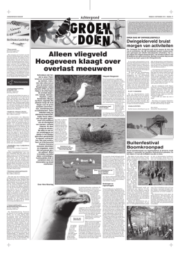 Alleen vliegveld Hoogeveen klaagt over overlast meeuwen