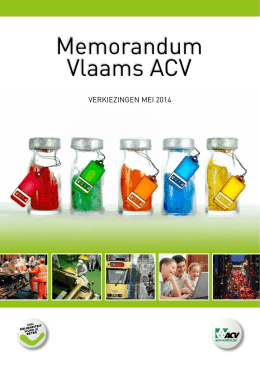Memorandum Vlaams ACV - Transitienetwerk Middenveld