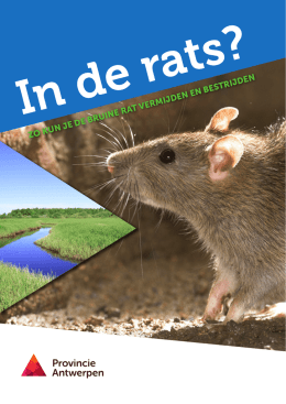Brochure voor gemeenten met tips om ratten te vermijden en