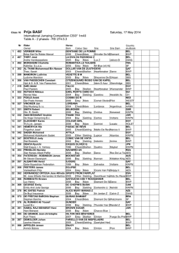 01 csi - Hippo Assistance