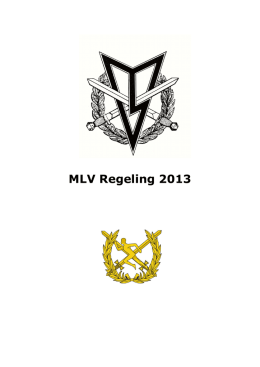 MLV regeling 2013