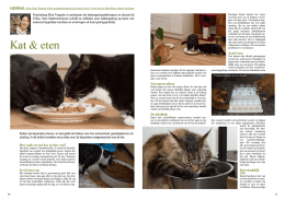 Download File - Tinley Gedragstherapie voor Dieren