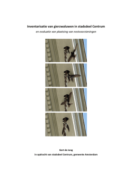 Onderzoek Inventarisatie Gierzwaluwen in stadsdeel Centrum (PDF