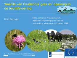 Presentatie van Hein Korevaar (915,53 kb)