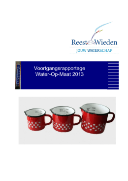 Voortgangsrapportage WOM (pdf, 1,5 MB)
