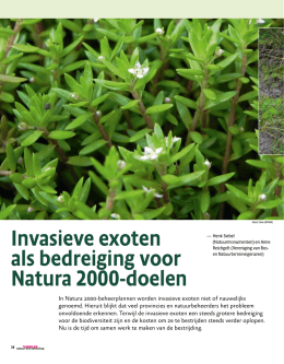 Invasieve exoten als bedreiging voor Natura 2000-doelen