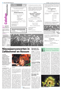 De Toren - 31 december 2014 pagina 6