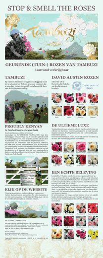 tambuzi - Parfum Flower Company Aalsmeer