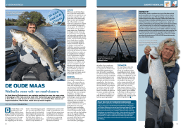 DE OUDE MAAS - Sportvisserij Zuidwest Nederland
