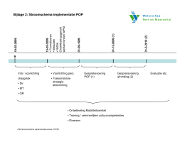 Bijlage 2: Stroomschema implementatie POP