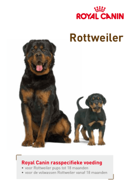 Rottweiler - Royal Canin