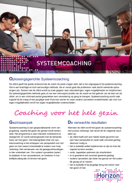 Systeemcoaching